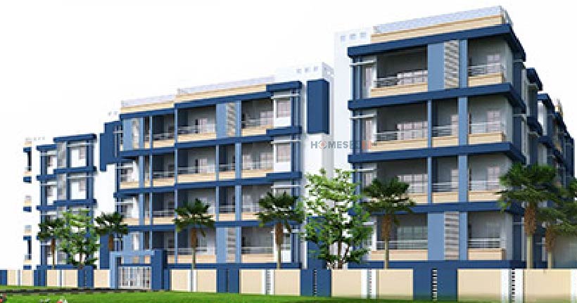 LVS Elite Cover Image